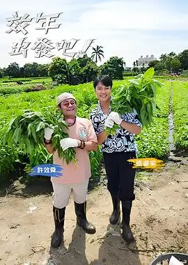 乐队的夏天 综艺封面